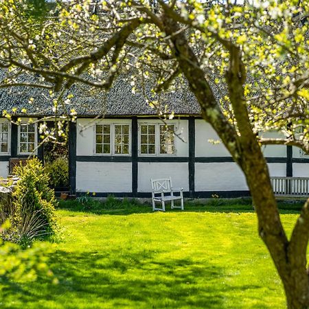 Solbjerggaard Bed & Breakfast Fåborg Exteriér fotografie