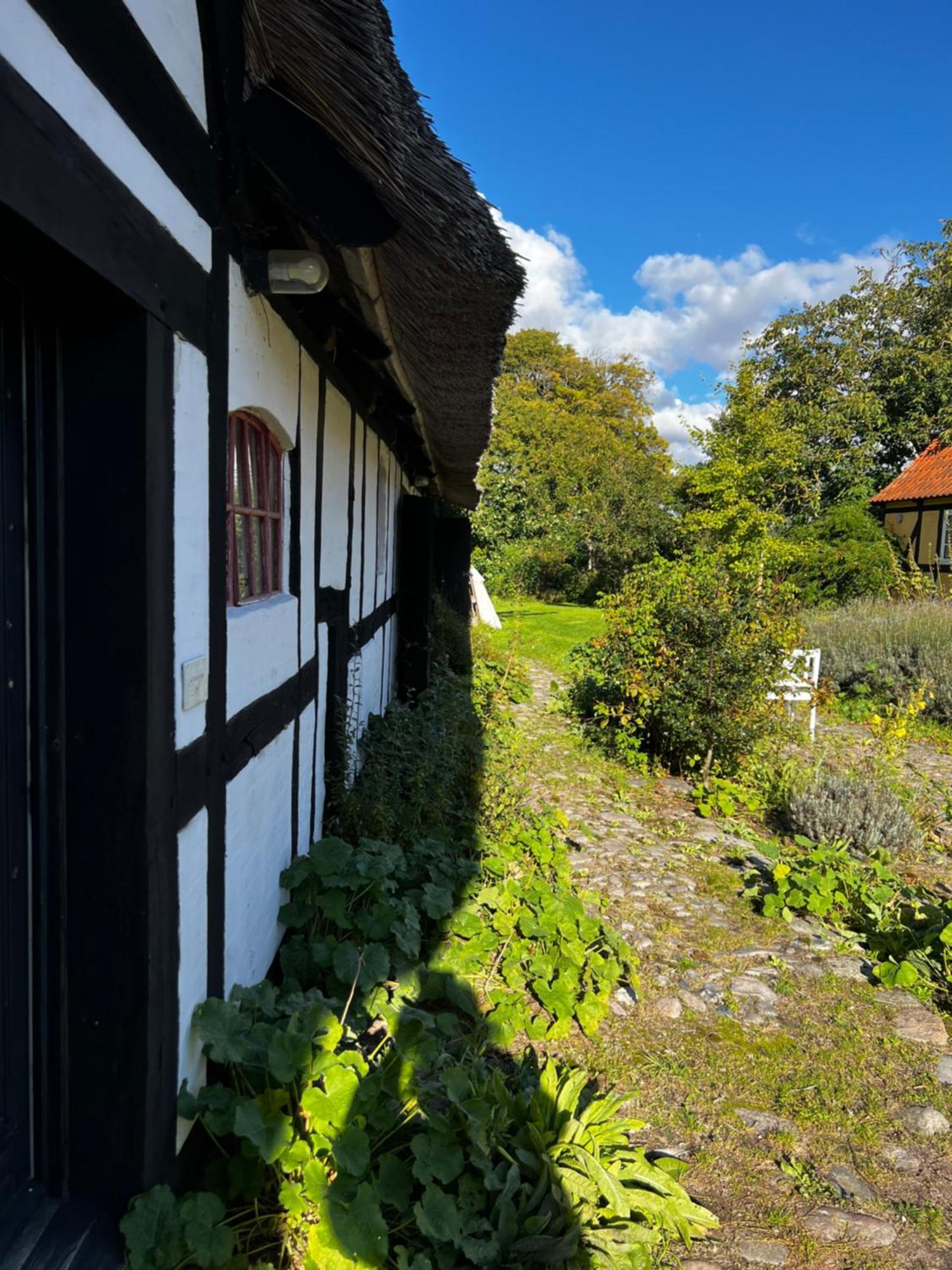 Solbjerggaard Bed & Breakfast Fåborg Exteriér fotografie