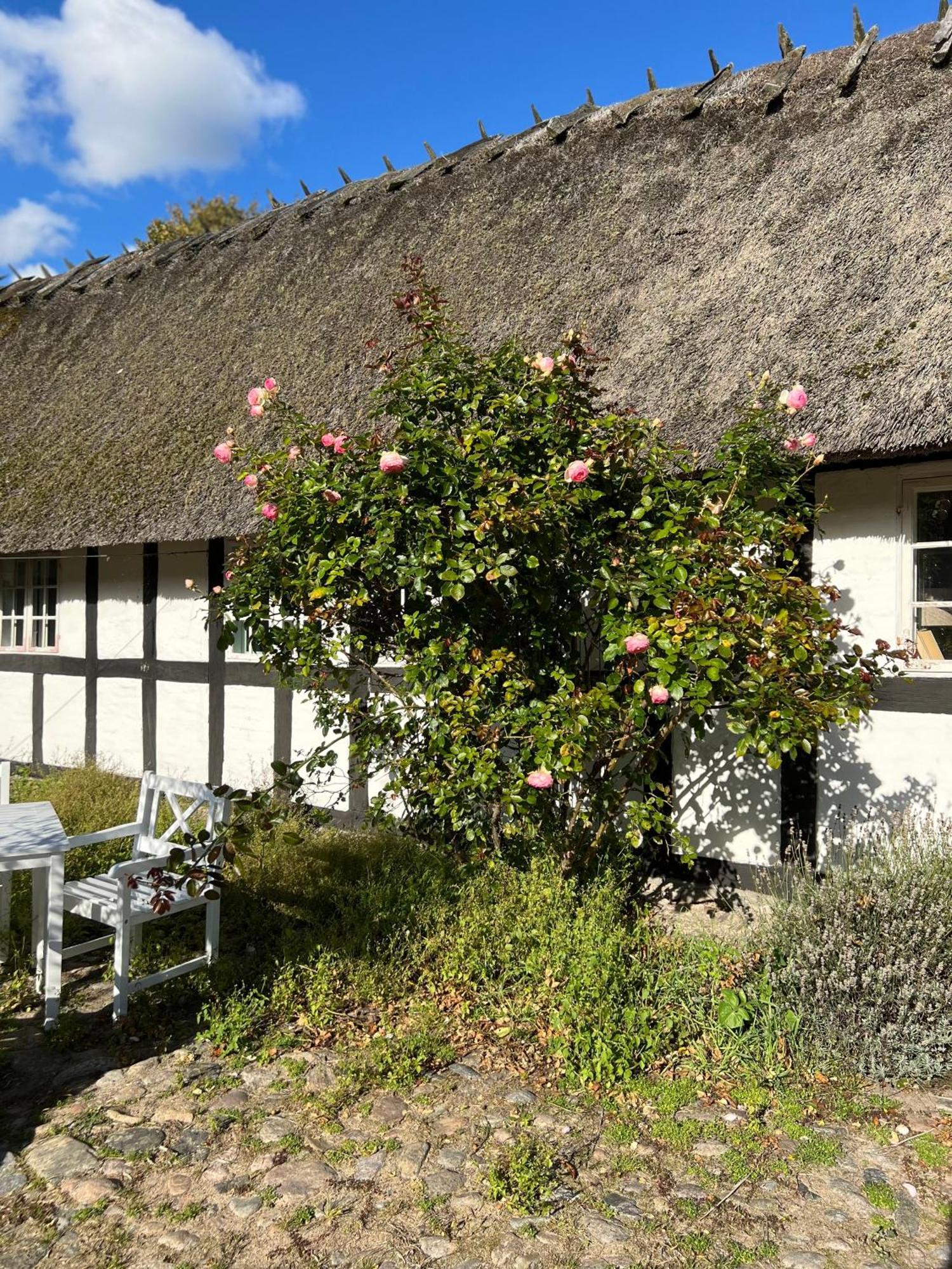 Solbjerggaard Bed & Breakfast Fåborg Exteriér fotografie
