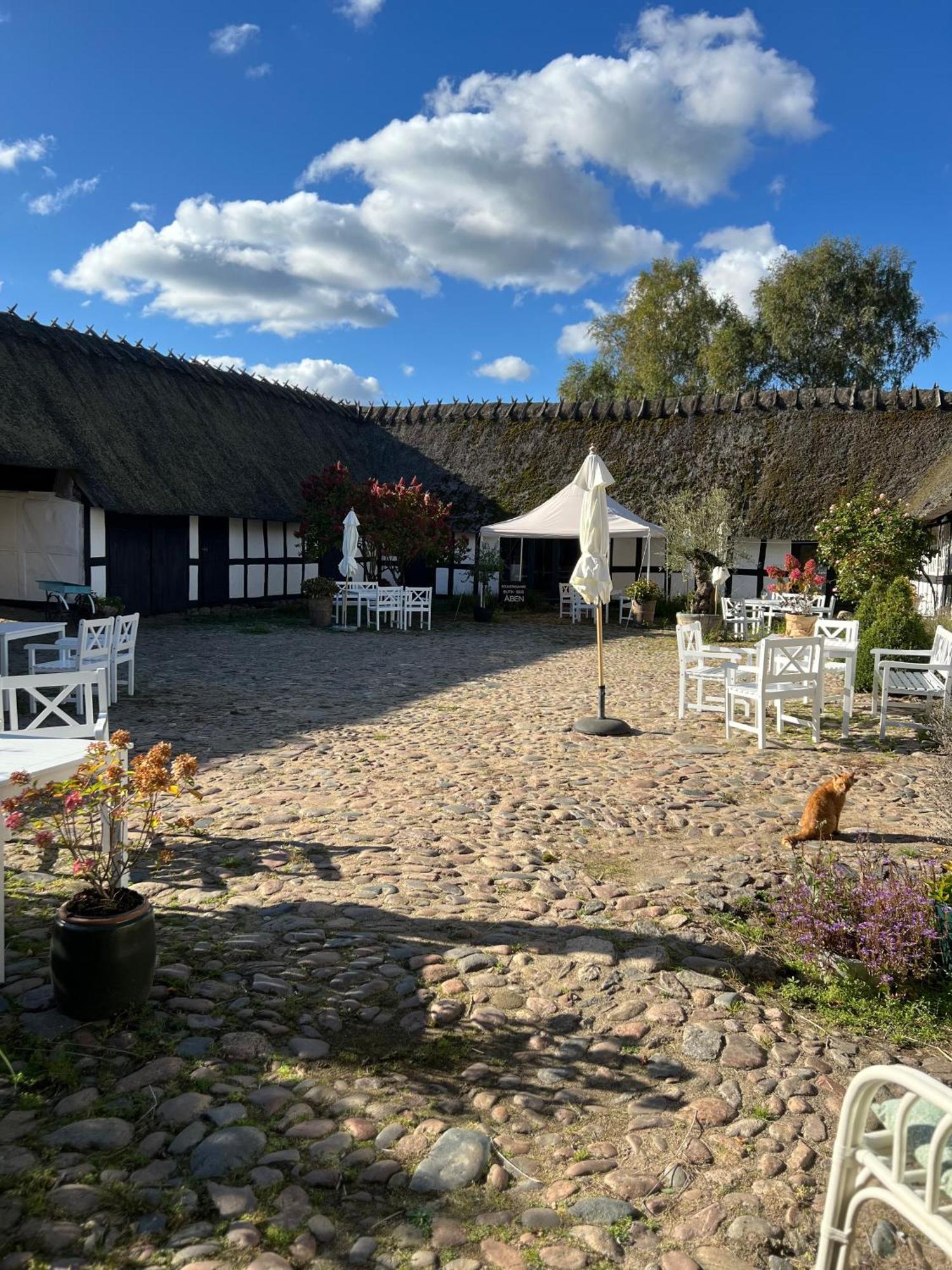 Solbjerggaard Bed & Breakfast Fåborg Exteriér fotografie