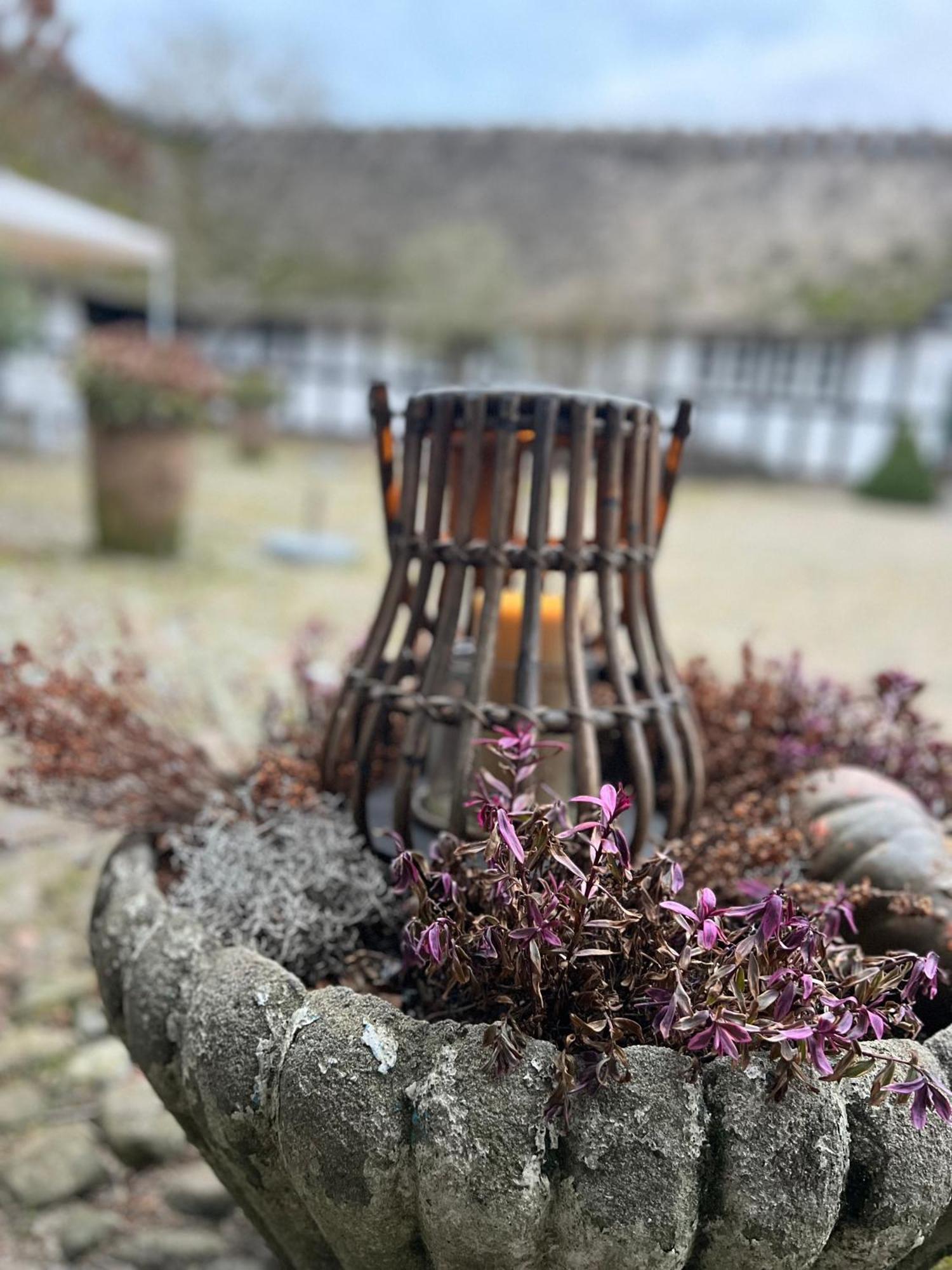 Solbjerggaard Bed & Breakfast Fåborg Exteriér fotografie