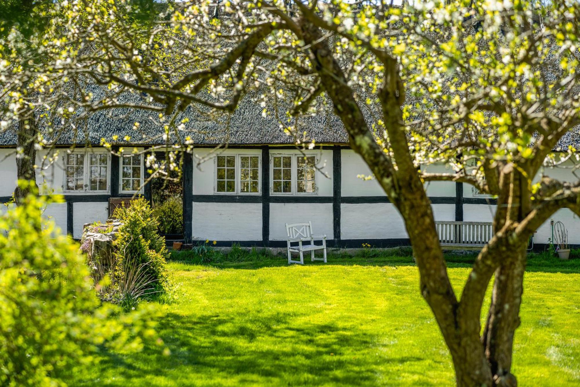 Solbjerggaard Bed & Breakfast Fåborg Exteriér fotografie