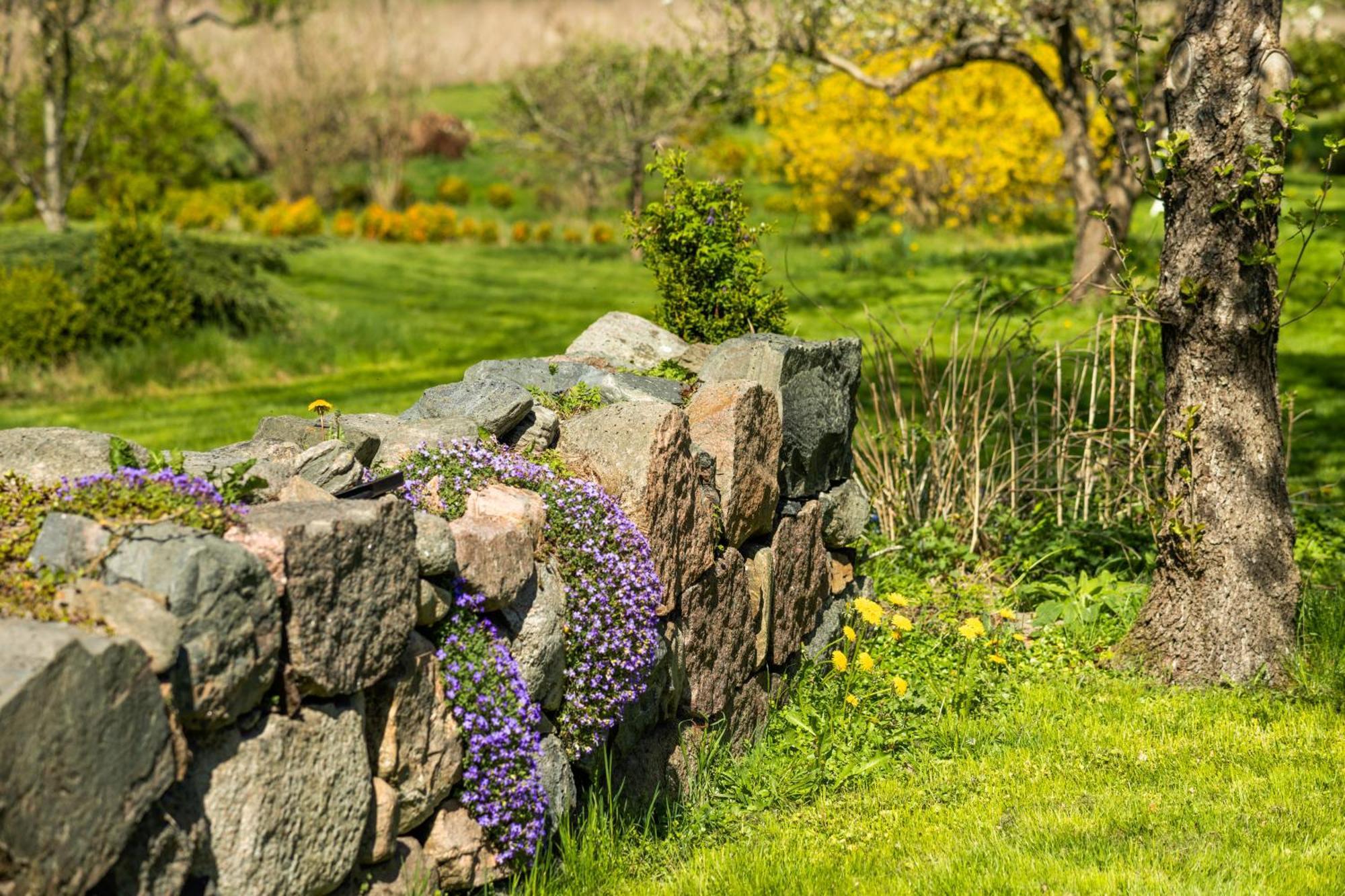 Solbjerggaard Bed & Breakfast Fåborg Exteriér fotografie