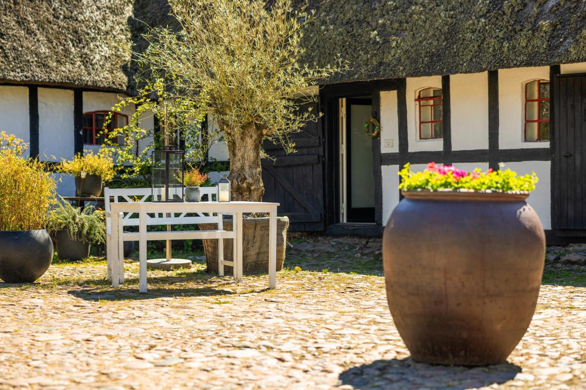 Solbjerggaard Bed & Breakfast Fåborg Exteriér fotografie